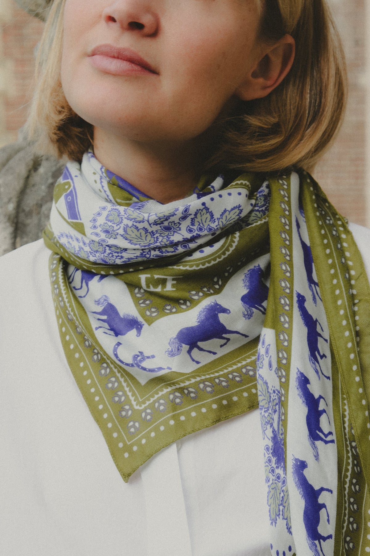 Equestrian MS