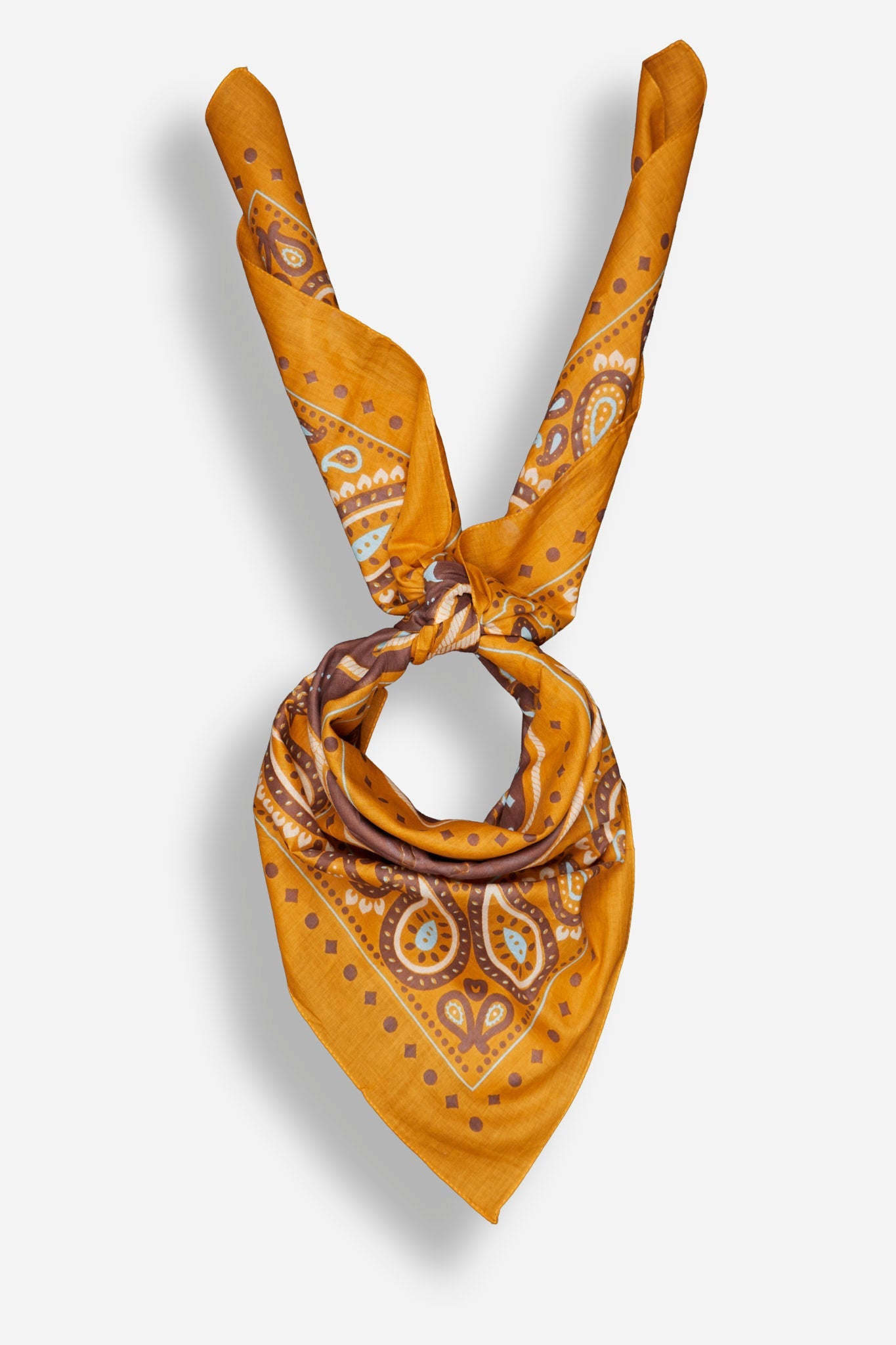 Rodeo Camel cotton