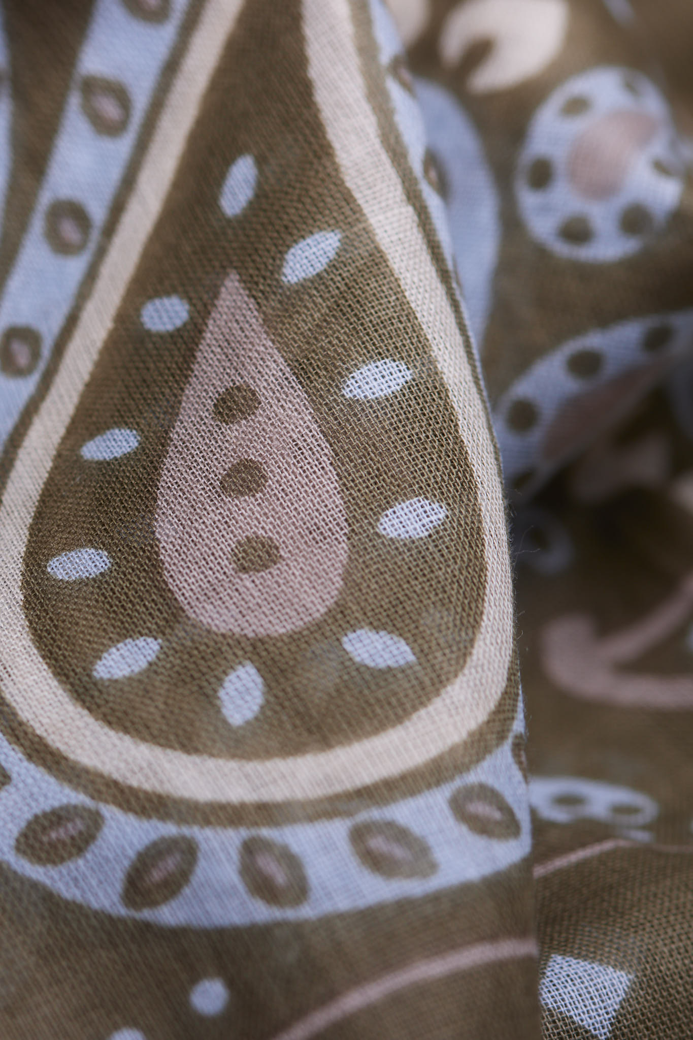 Rodeo Olive cotton