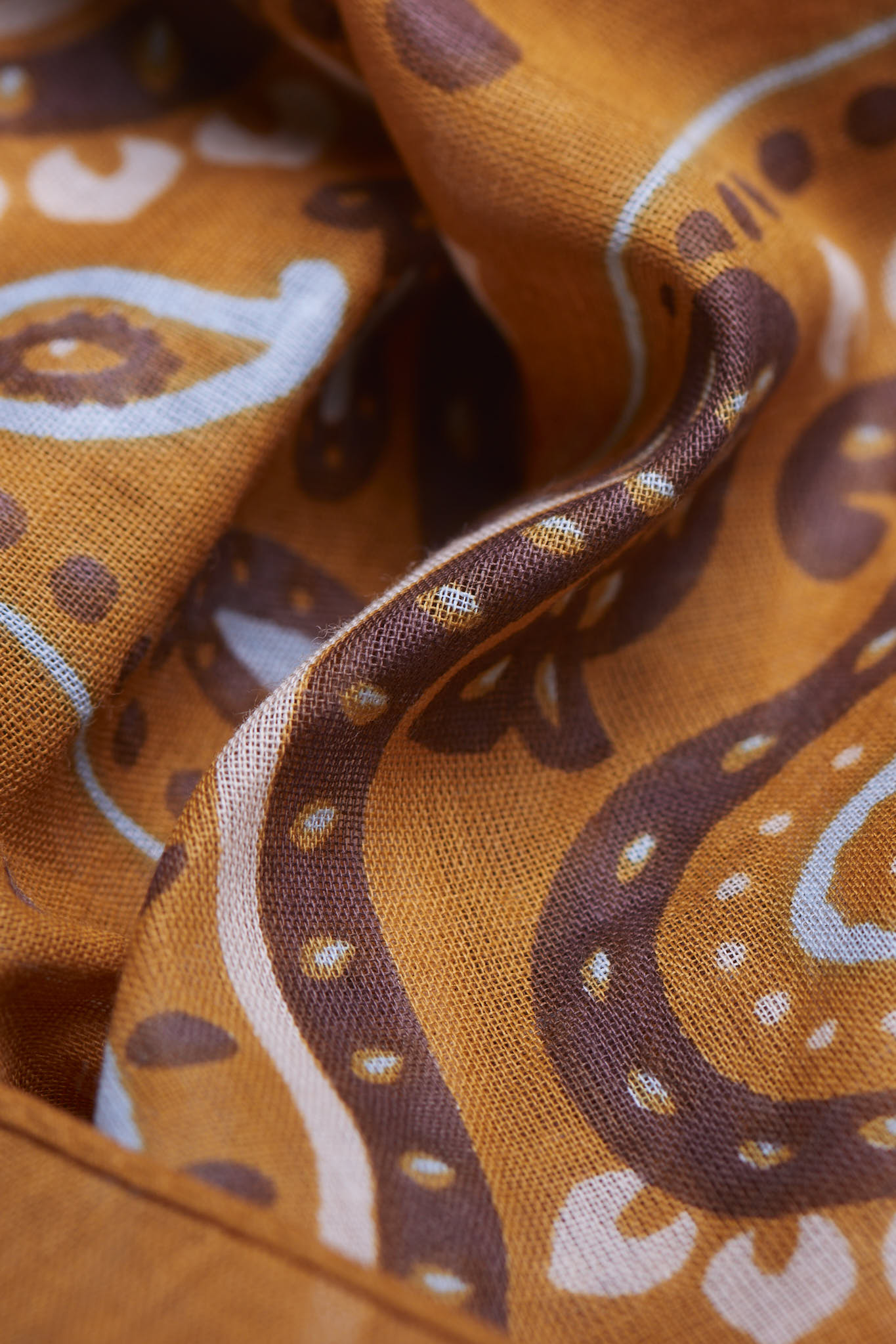 Rodeo Camel cotton