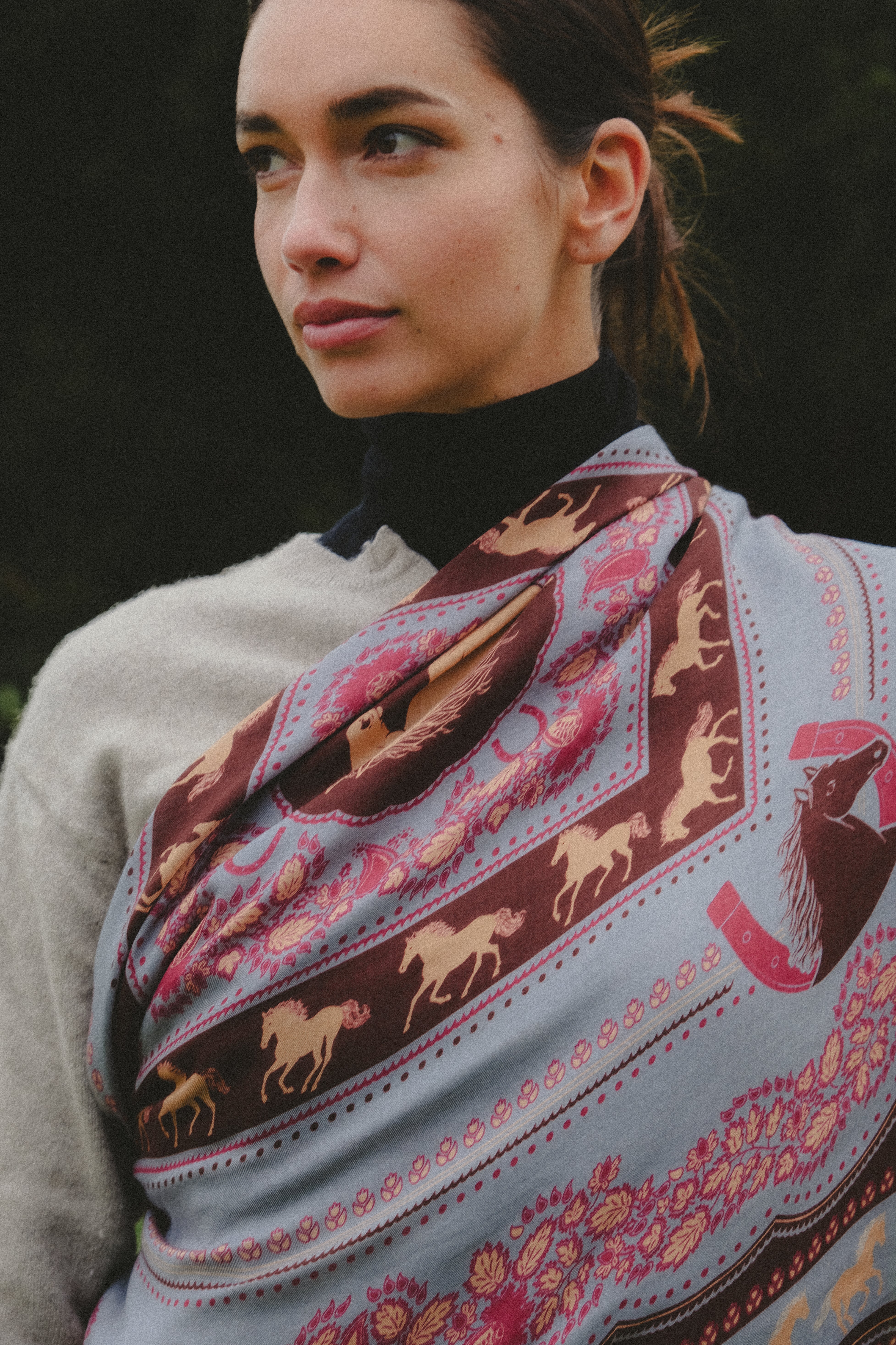 Equestrian Cabernet MS