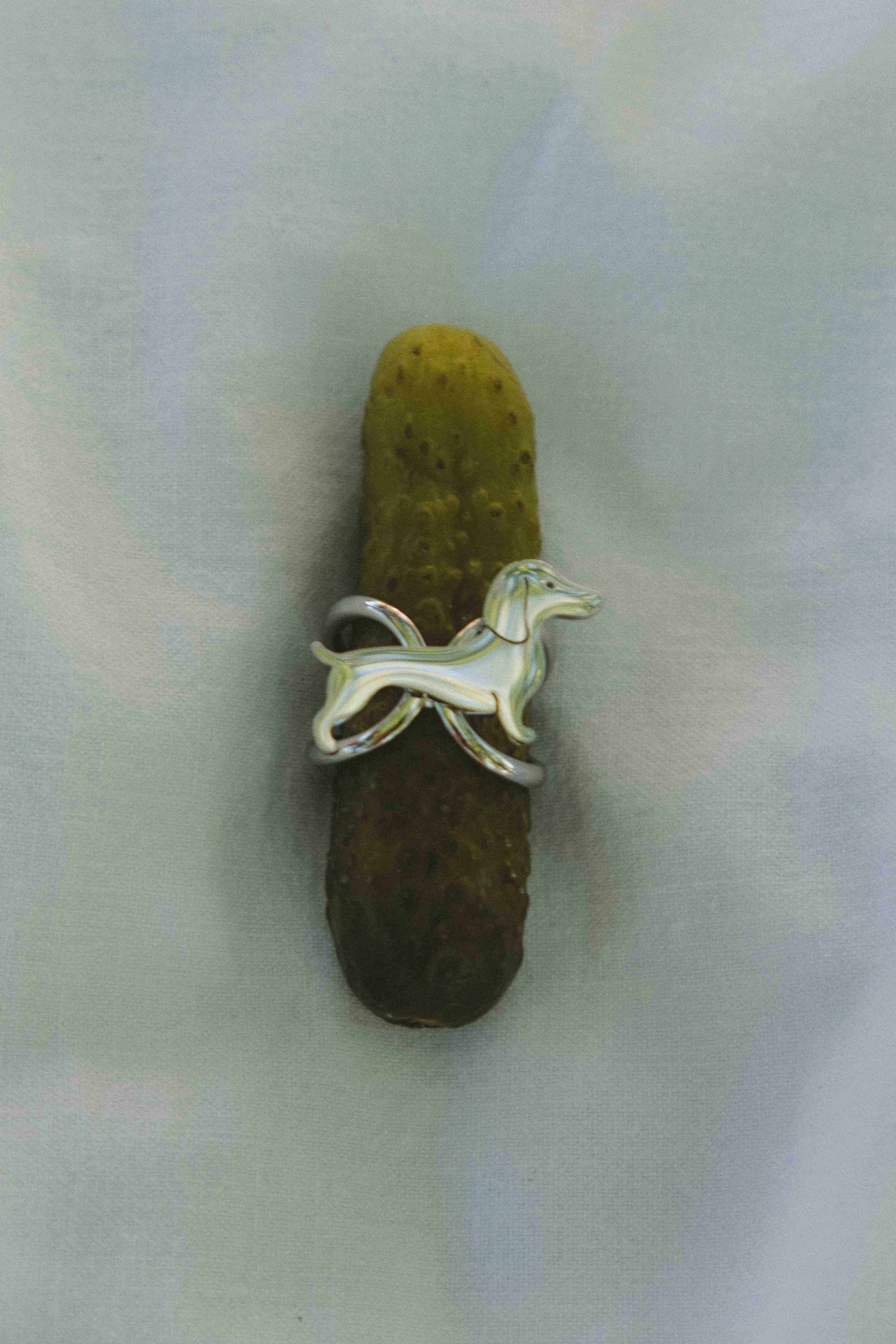 Silver Teckel rings