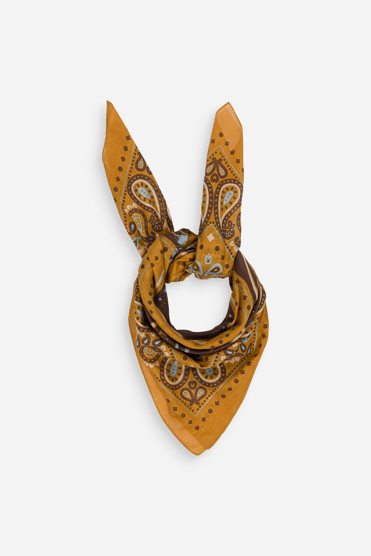 Rodeo cotton