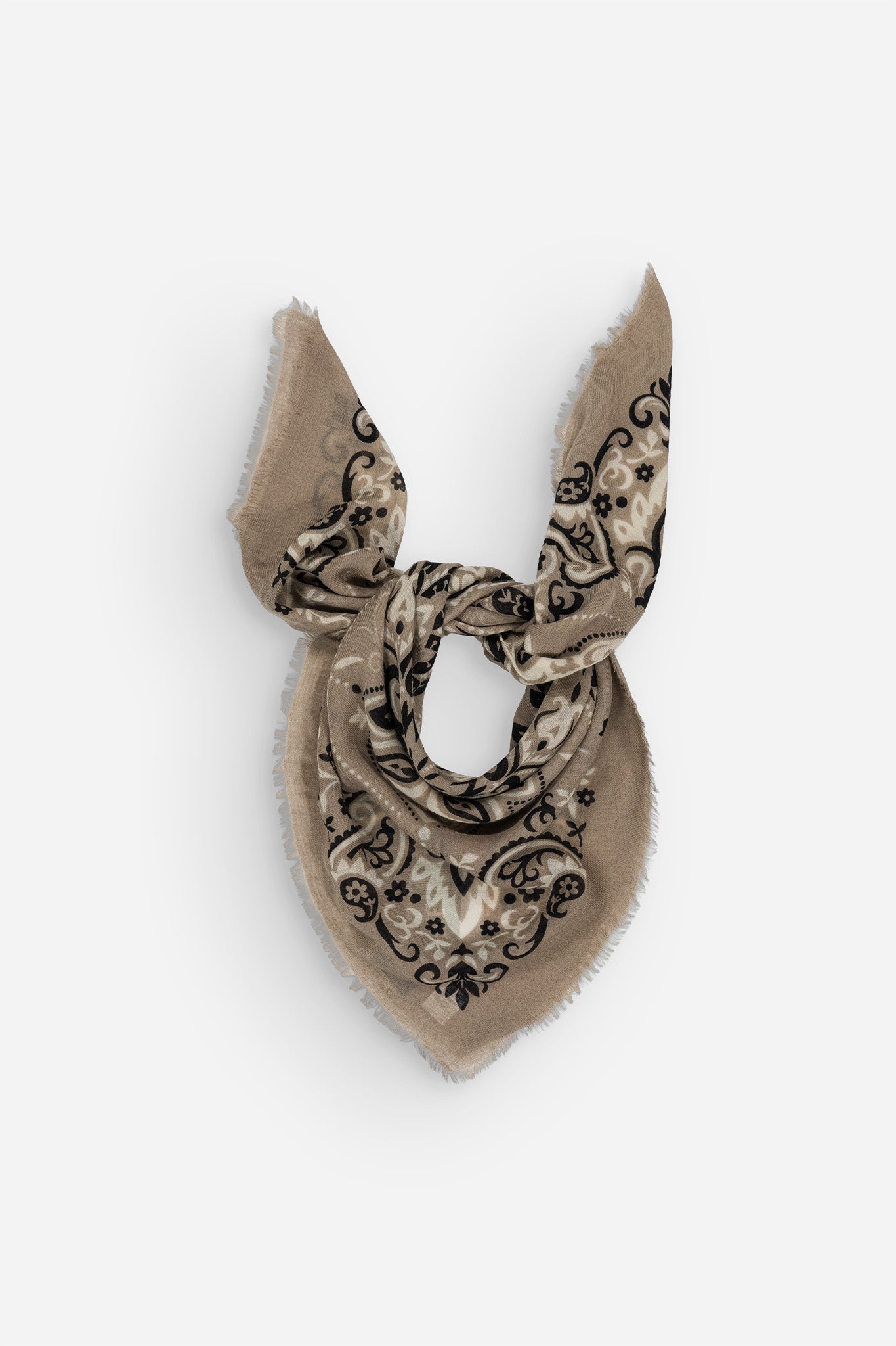 Bandana Rock WS